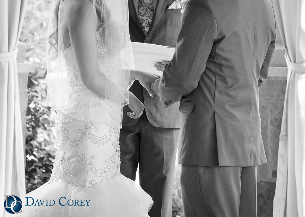 Gervasi Vineyard Wedding Photographer David Corey Photography