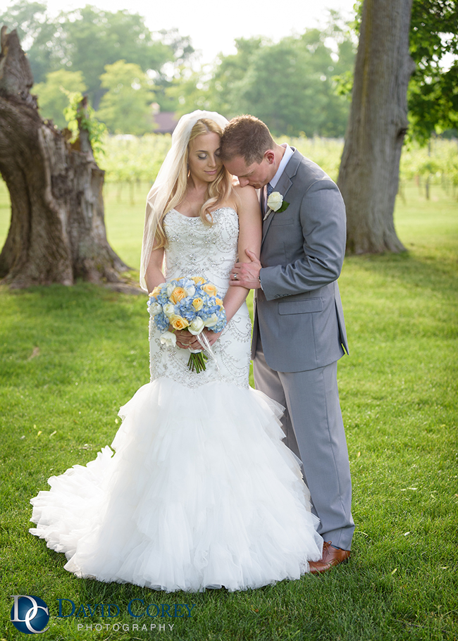 Gervasi Vineyard Wedding Photographer David Corey Photography