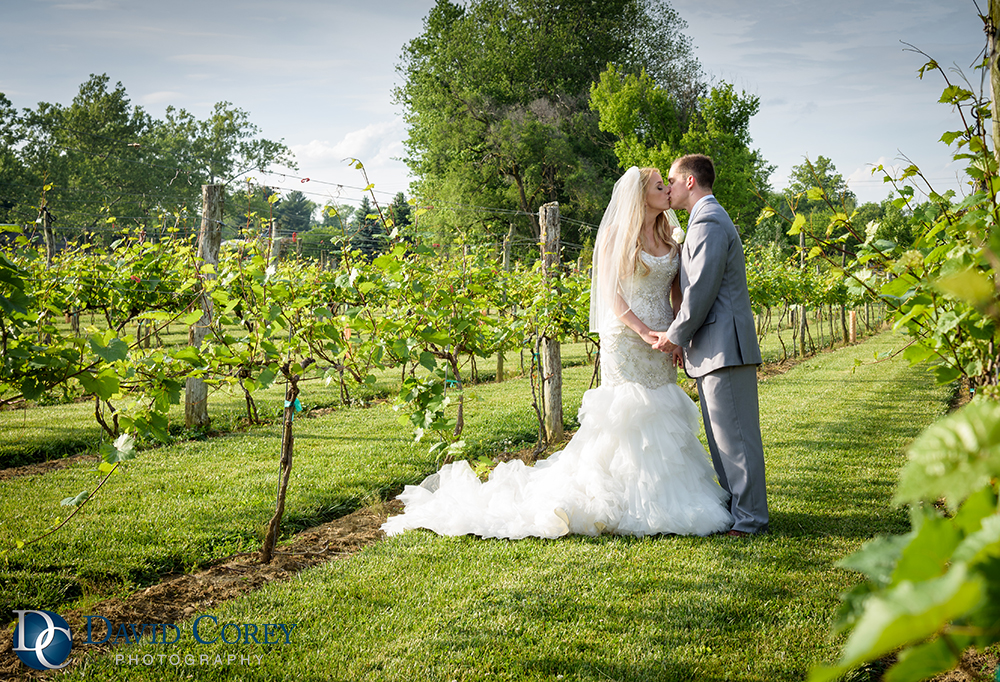 Gervasi Vineyard Wedding Photographer David Corey Photography