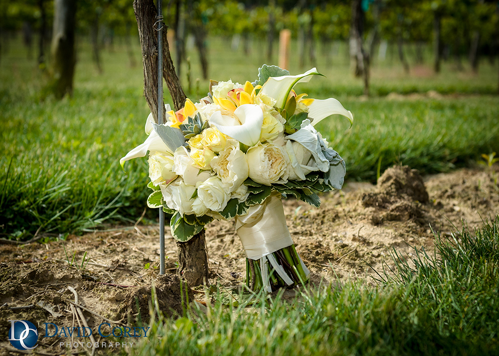 Gervasi Vineyard Outdoor Wedding