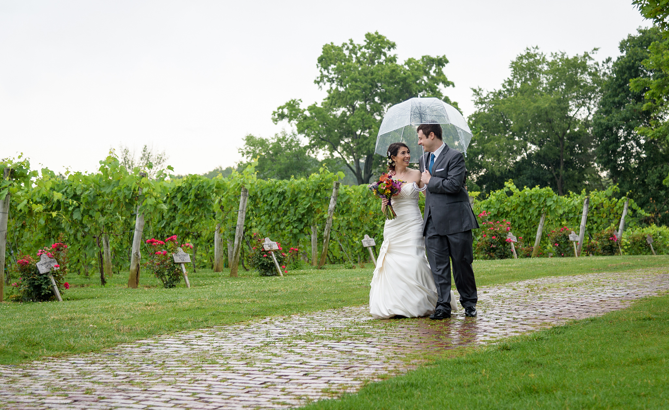 Gervasi Vineyard Wedding