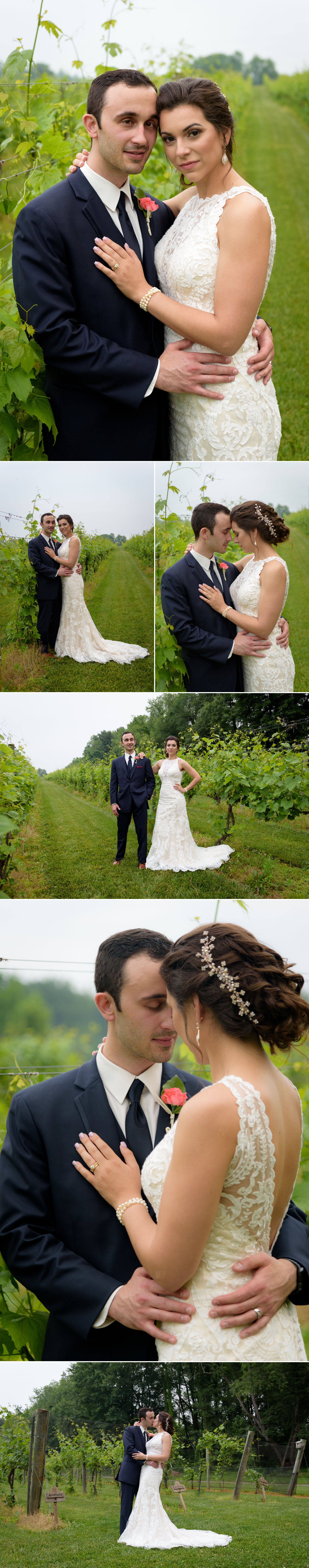 Gervasi Vineyard Wedding