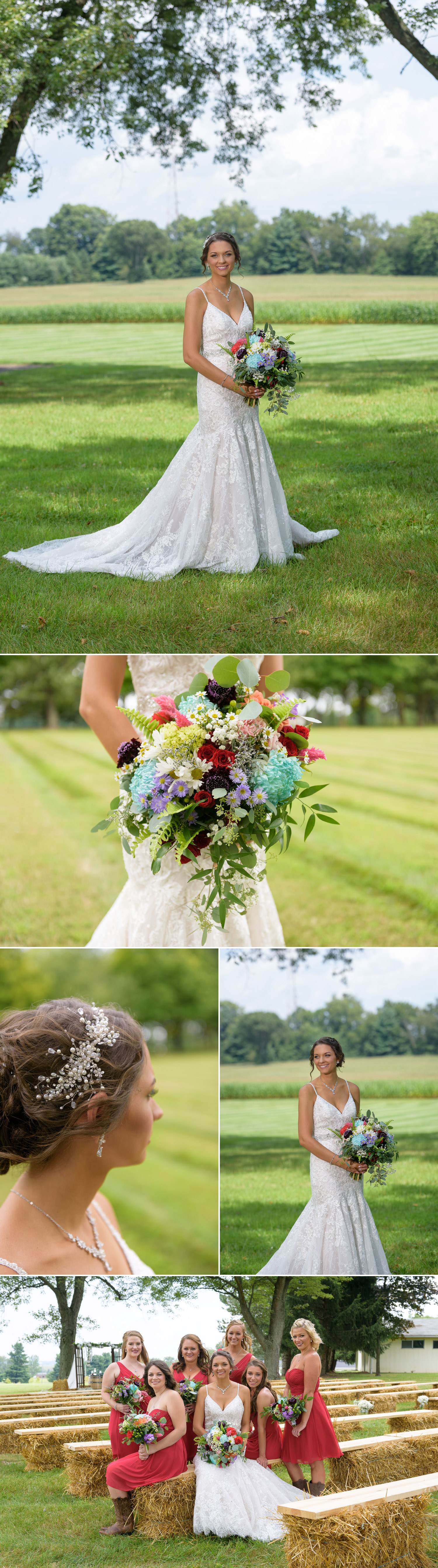Pine View Acres David Corey Photography