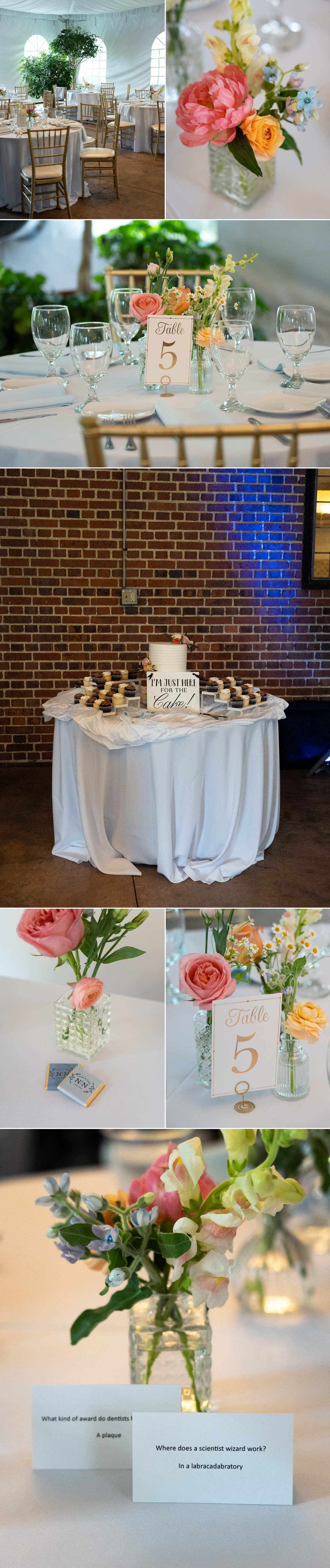 Stan Hywet Wedding by David Corey Photography
